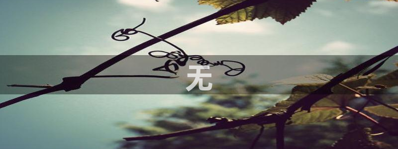 茄子视频www