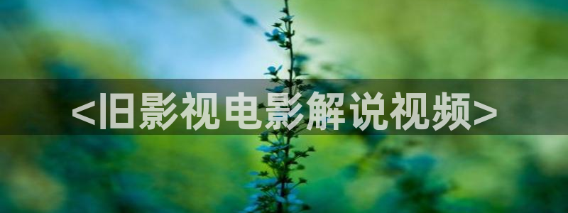 茄子视频www