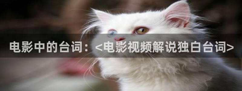 qiezi茄子视频