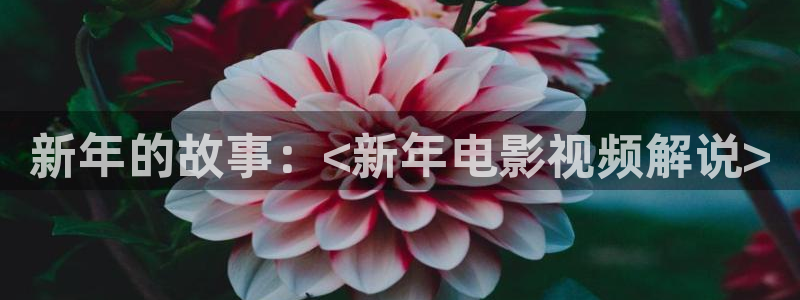 茄子视频 magnet