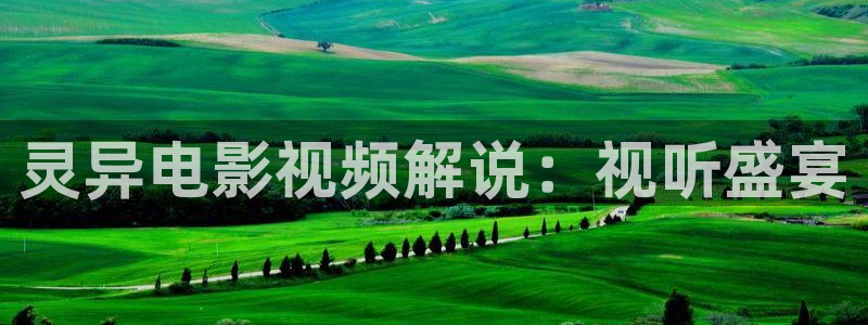 大茄子视频