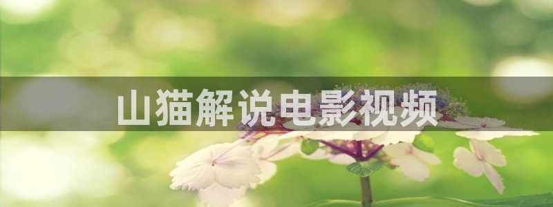 茄子视频色版