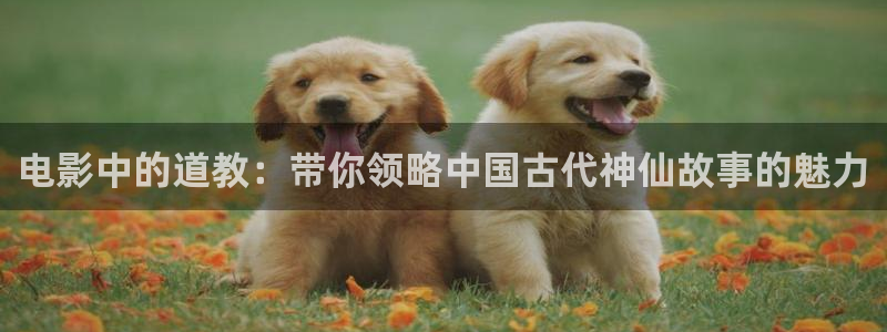 茄子视频色版