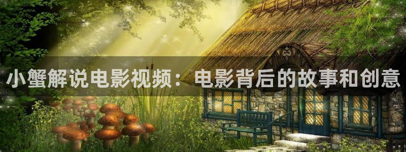 茄子视频视频