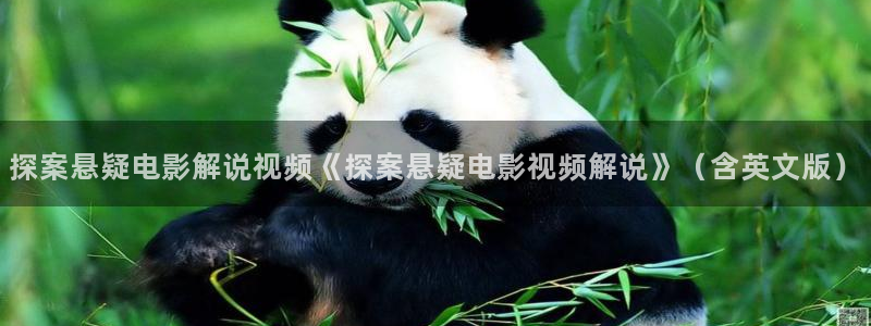 茄子视频无限看丝瓜视频丝瓜视免费观看