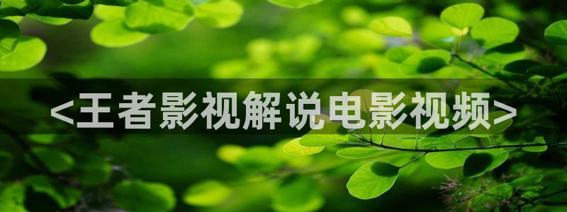 茄子视频a
