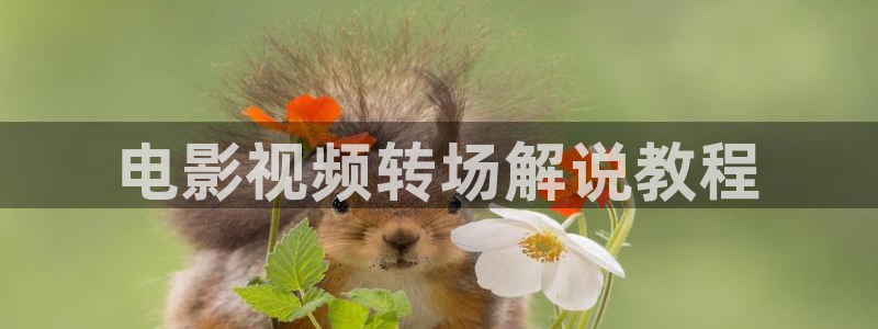 茄子视频qz
