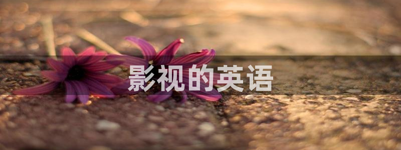 丝瓜茄子视频在线观看