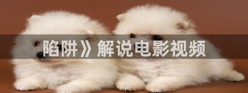 qiezi茄子视频