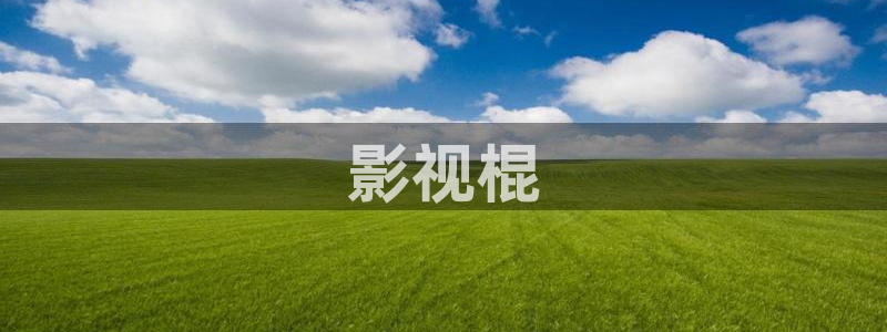 茄子视频了