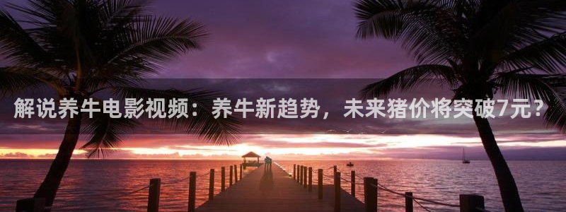 丝瓜茄子视频在线观看