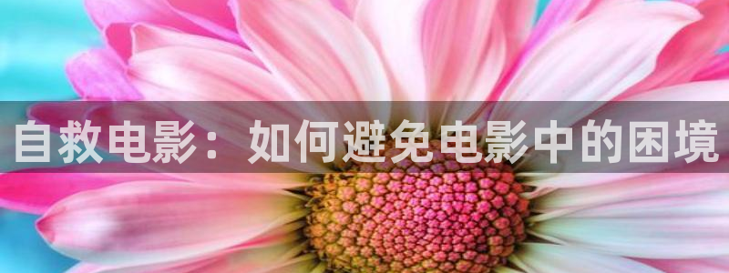 茄子视频
