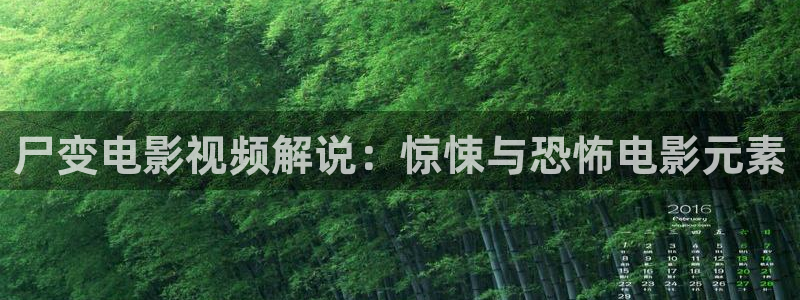 茄子视频色版