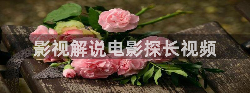 qiezi 茄子视频