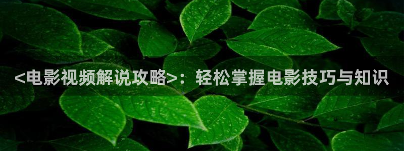 茄子视频