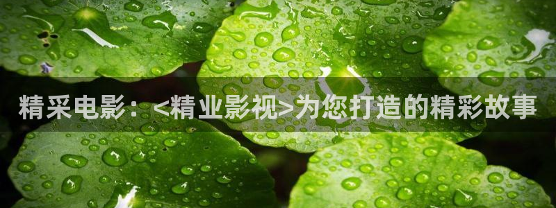 茄子视频色版