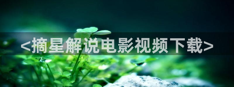茄子视频