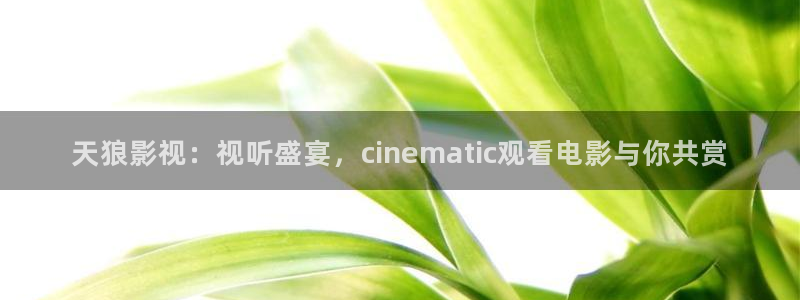大茄子视频