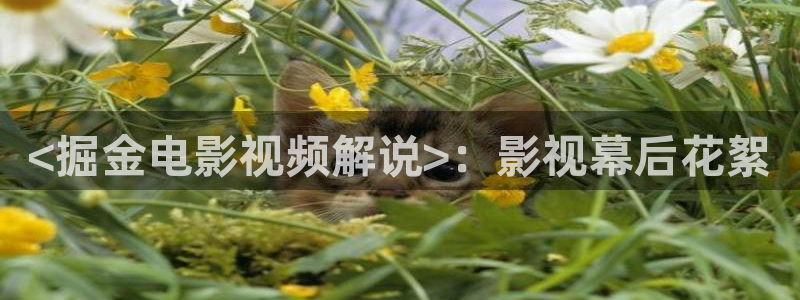 茄子视频qz