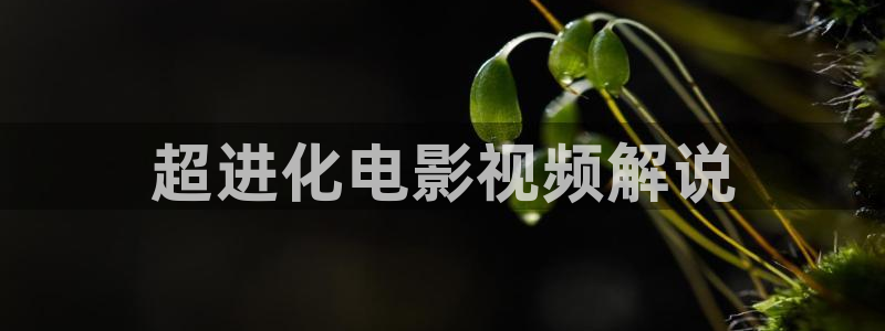 茄子视频一