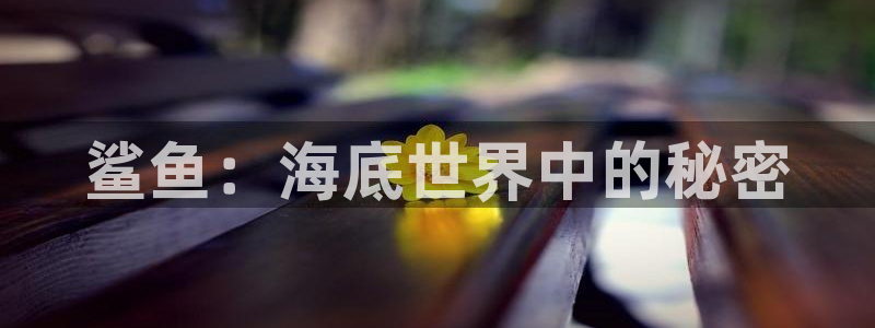 茄子视频18