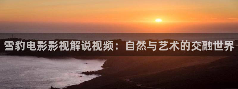 茄子视频一