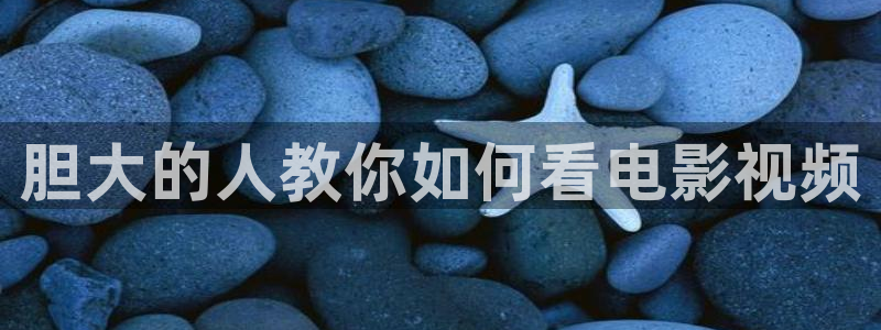 茄子视频18