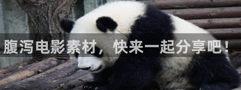 qiezi茄子视频
