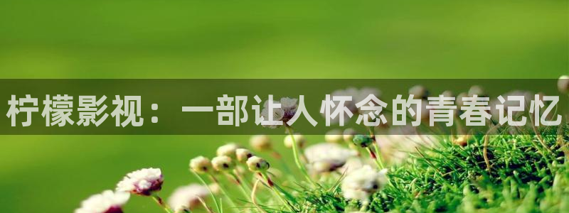 茄子视频a