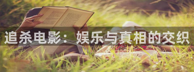 茄子视频视频