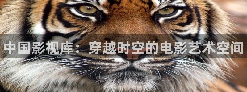 茄子视频18