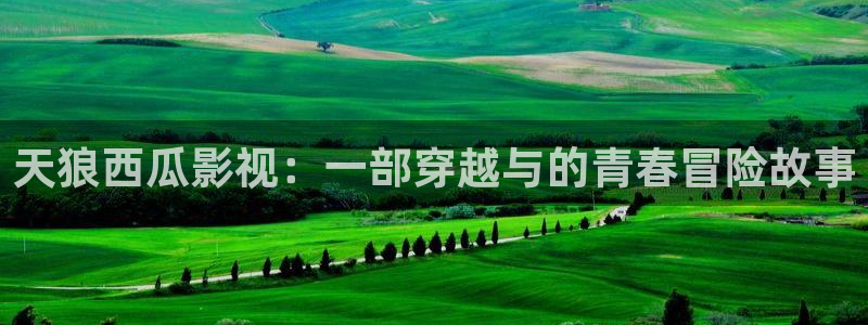 樱桃茄子视频