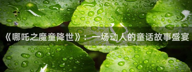 茄子视频视频