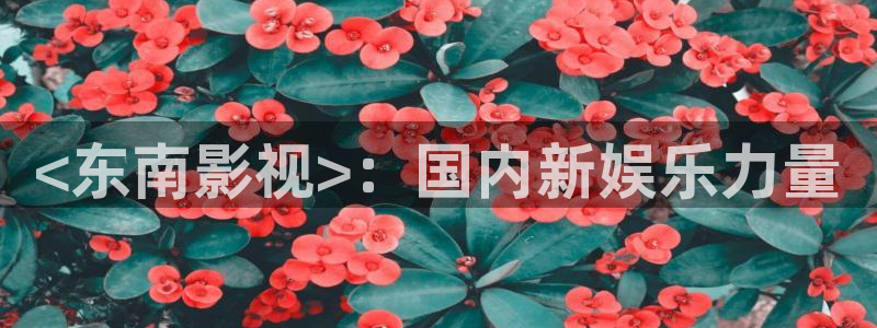 91茄子视频