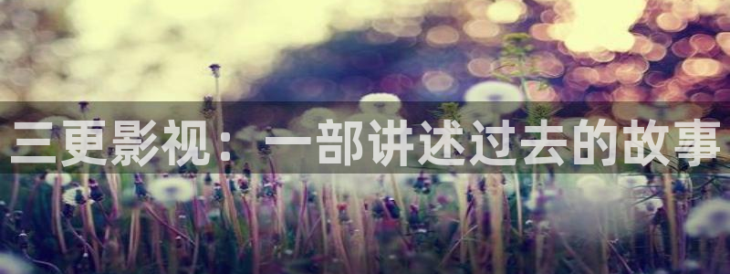 茄子视频