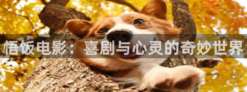 茄子视频www