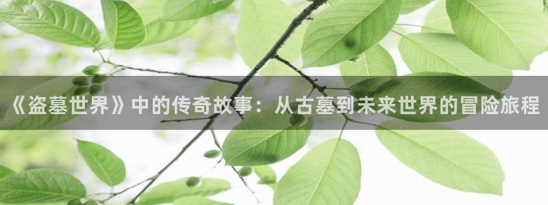 四虎茄子视频
