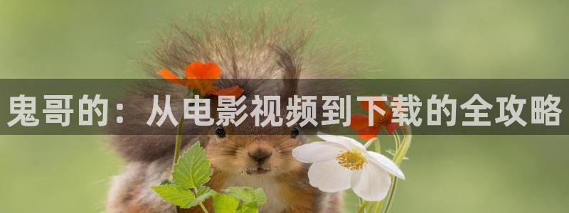 丝瓜茄子视频在线观看