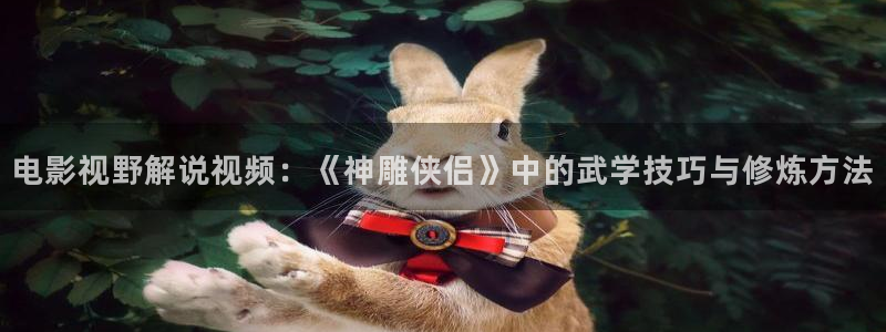 茄子视频 magnet
