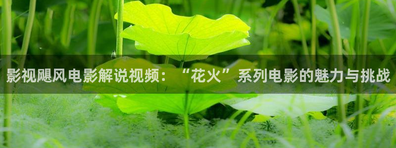 小优视频茄子视频