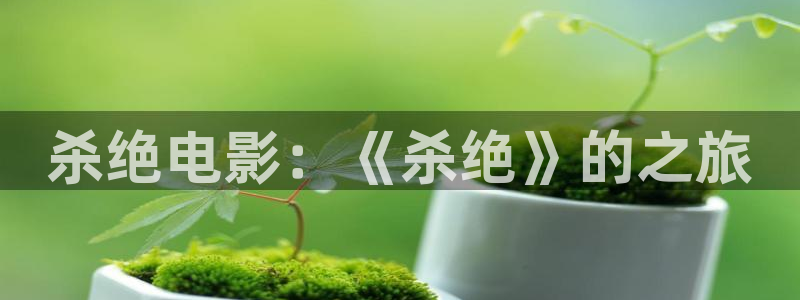 茄子视频色版