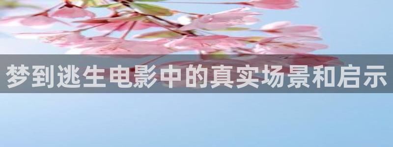 茄子视频18