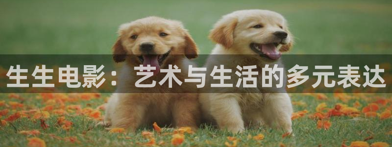 qiezi茄子视频