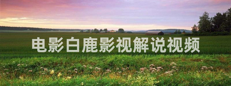 小优视频茄子视频
