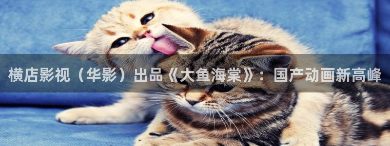 茄子视频了