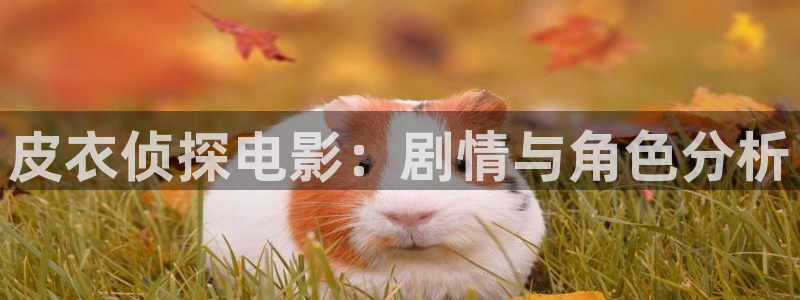 茄子视频了
