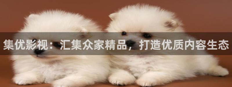 茄子视频www