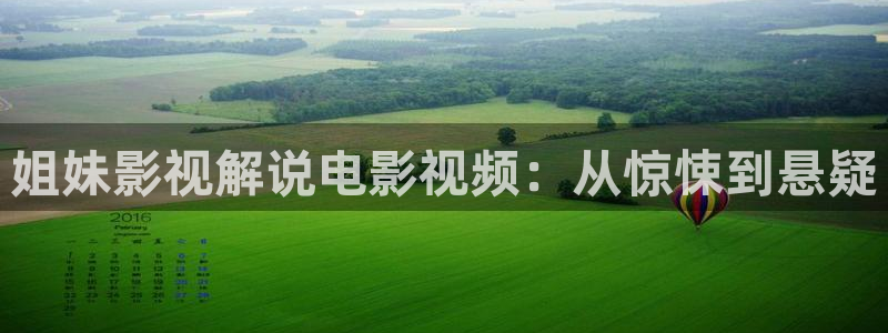 茄子视频视频