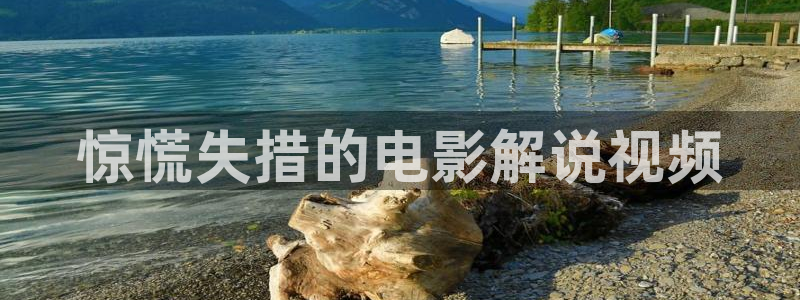 茄子视频了