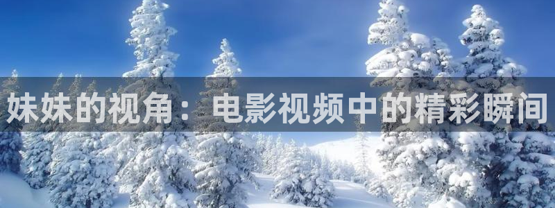 大茄子视频